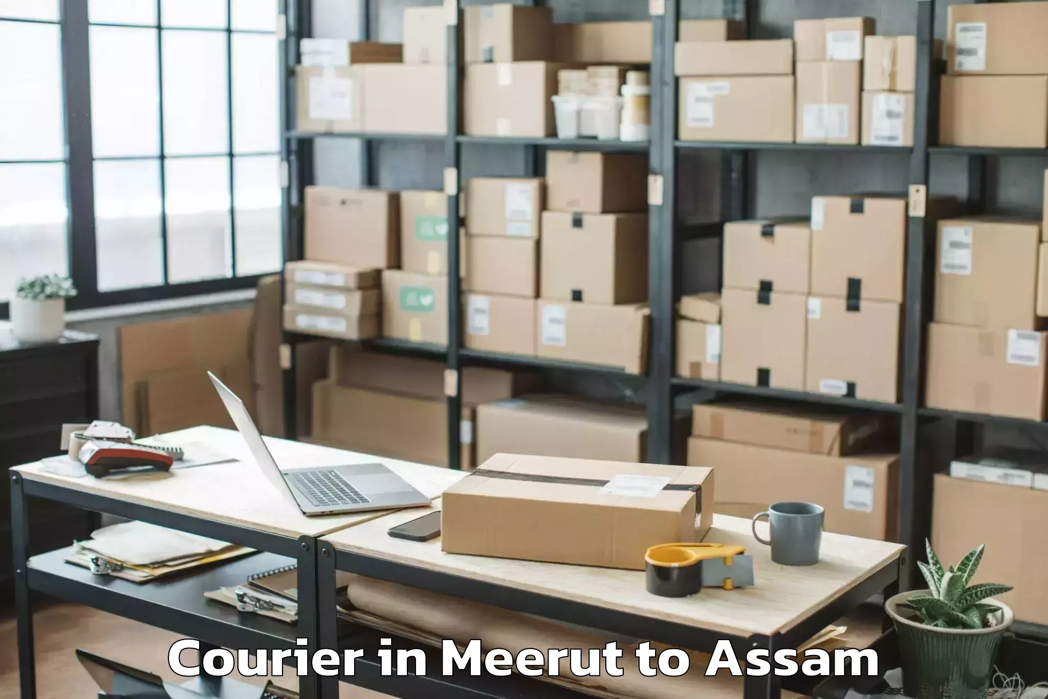 Trusted Meerut to Guwahati University Courier